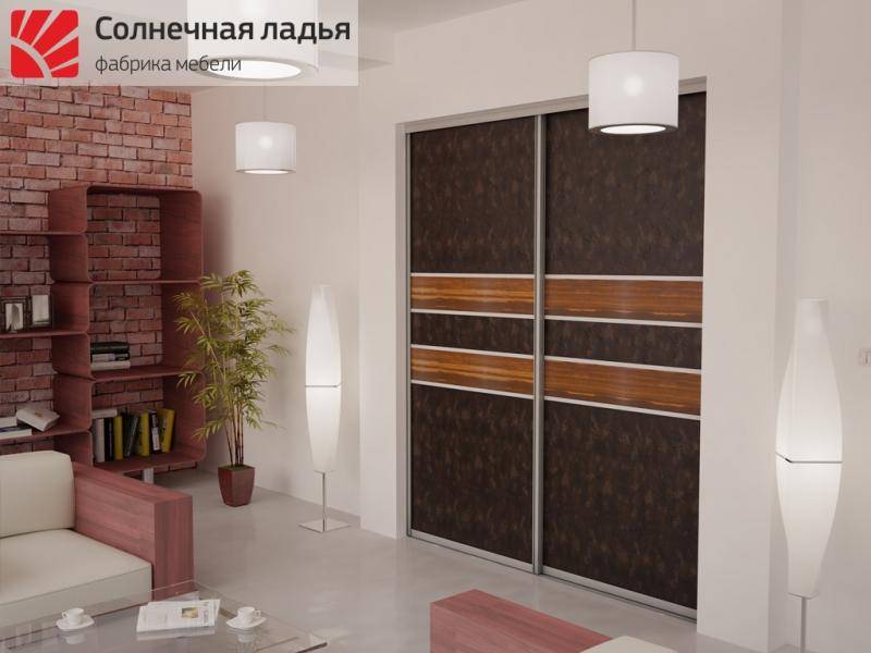 шкаф - купе для гостиной 17 в Кургане