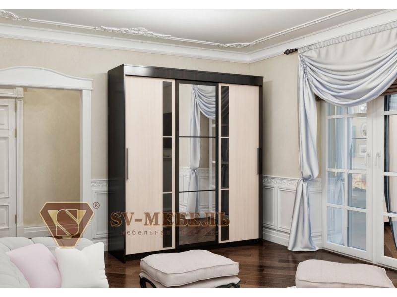оригинальная модель шкаф-купе 11 в Кургане