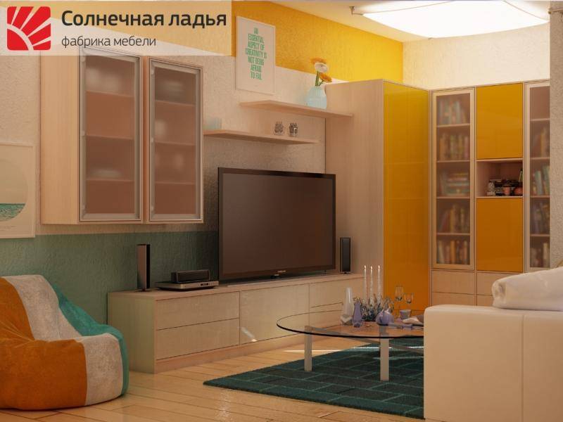 шкаф - купе для гостиной 15 в Кургане