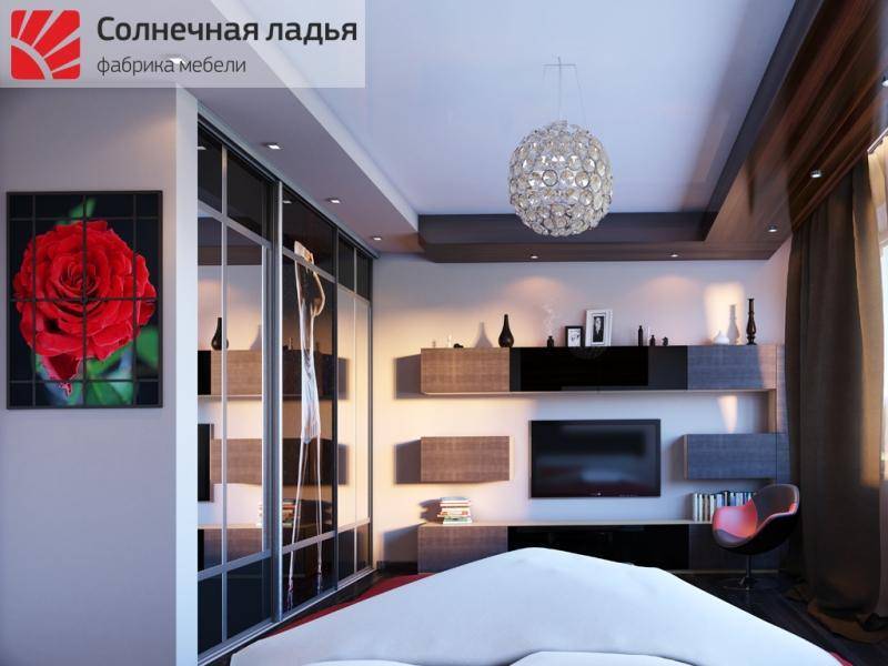 шкаф - купе фотопечать 9 в Кургане