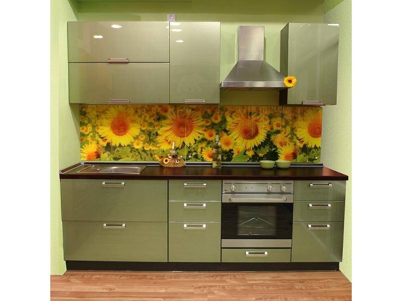 крашенная кухня тефида в Кургане