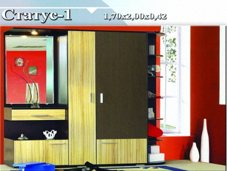 прихожая «статус 1» в Кургане