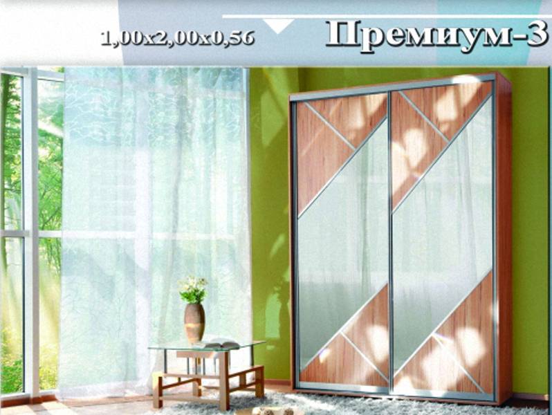 шкаф-купе «премиум 3» в Кургане