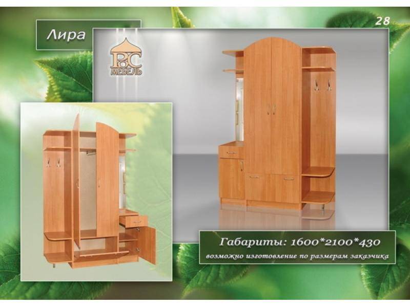 прихожая лира в Кургане