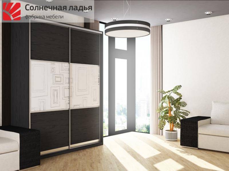 шкаф - купе для гостиной 4 в Кургане