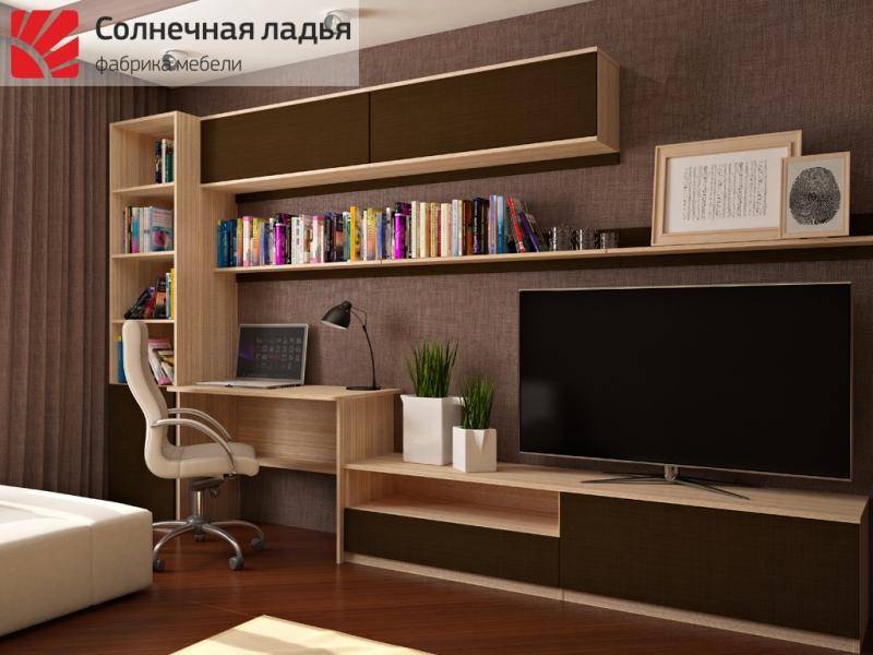 шкаф - купе для гостиной 13 в Кургане
