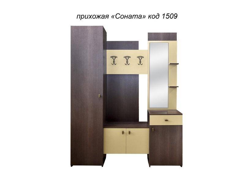 прихожая соната в Кургане