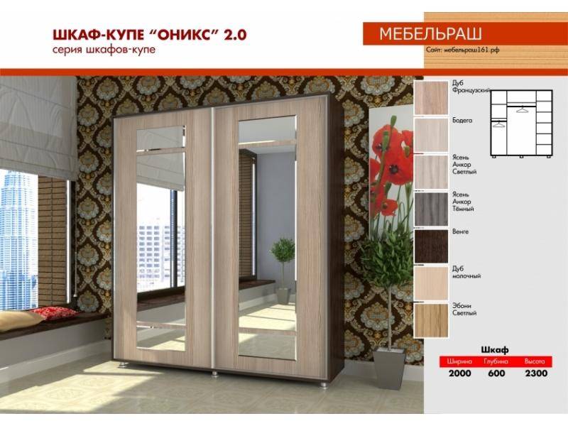 шкаф-купе прямой с зеркалами оникс 2.0 в Кургане