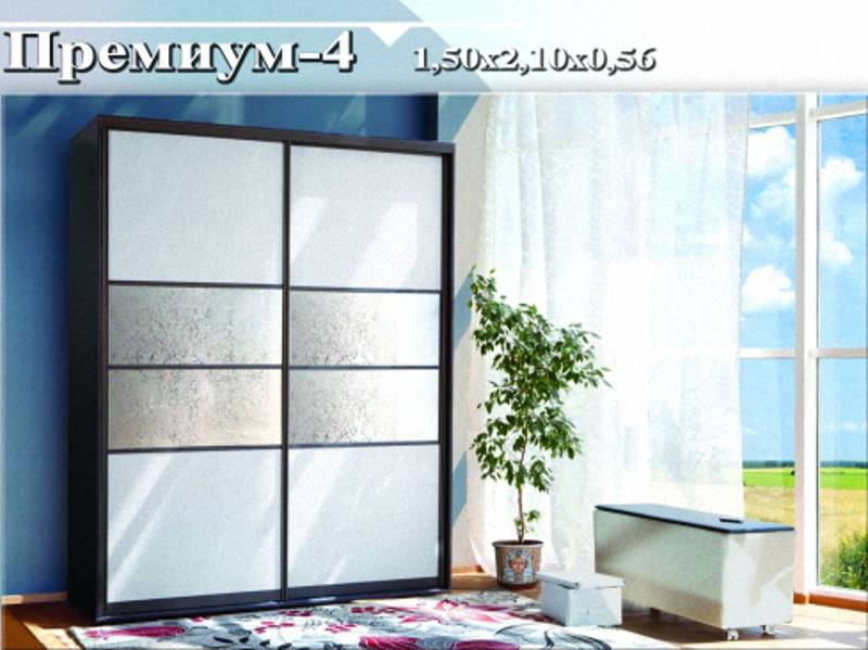 шкаф-купе «премиум 4» в Кургане