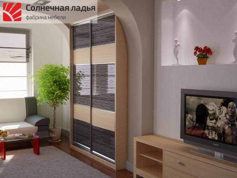 шкаф - купе для гостиной 19 в Кургане