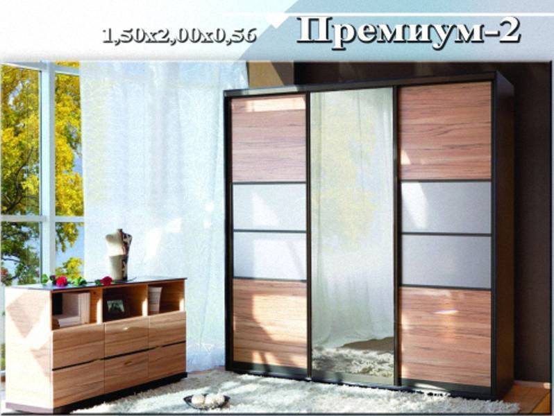 шкаф-купе «премиум 2» в Кургане