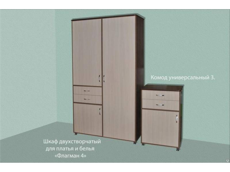 шкаф двухстворчатый для платья и белья флагман 4 в Кургане