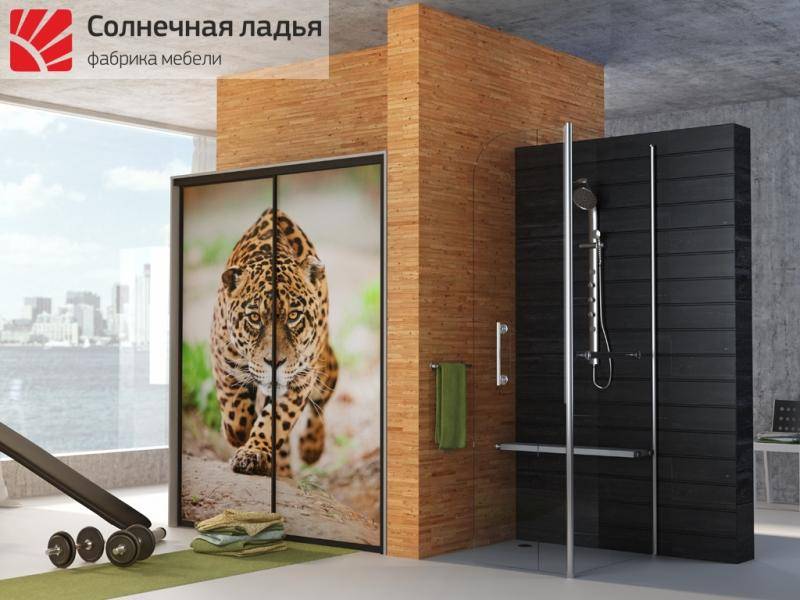 шкаф - купе фотопечать 4 в Кургане