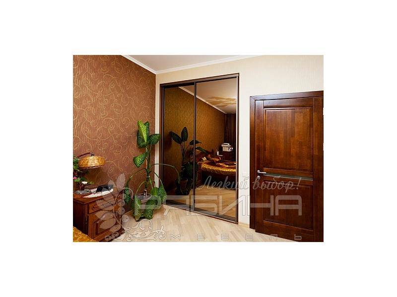 встроенный шкаф-купе верона в Кургане