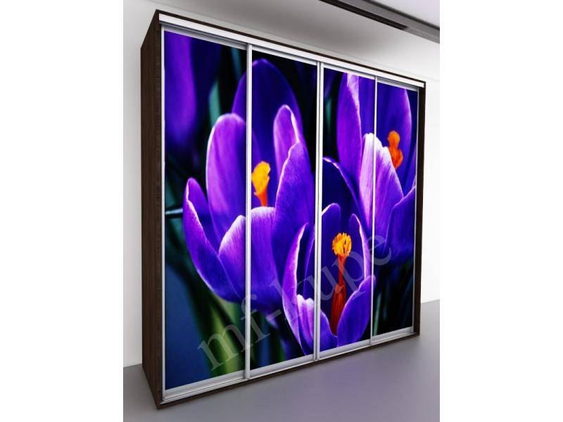 шкаф-купе бергамо violet 4 в Кургане