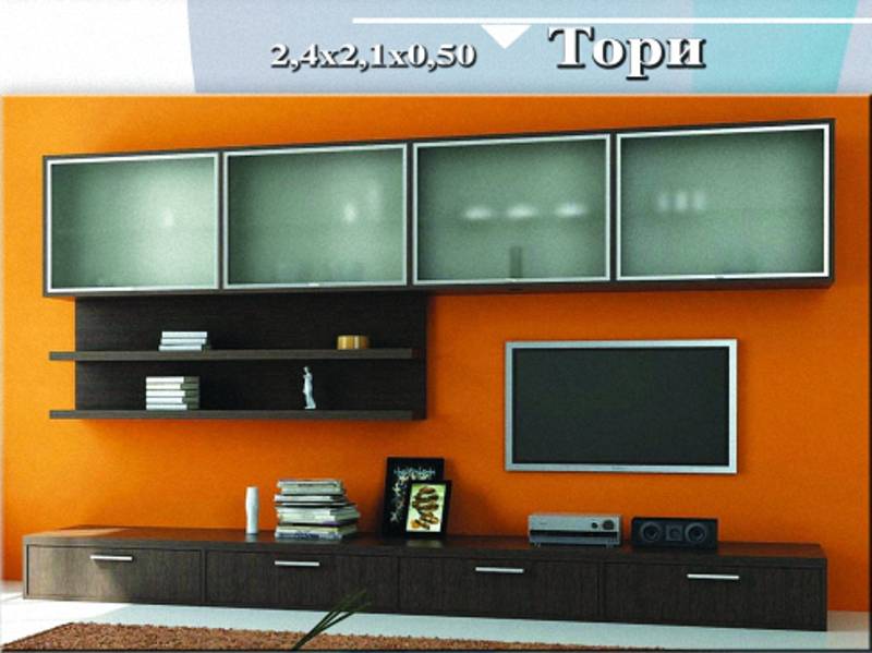 стенка «тори» в Кургане