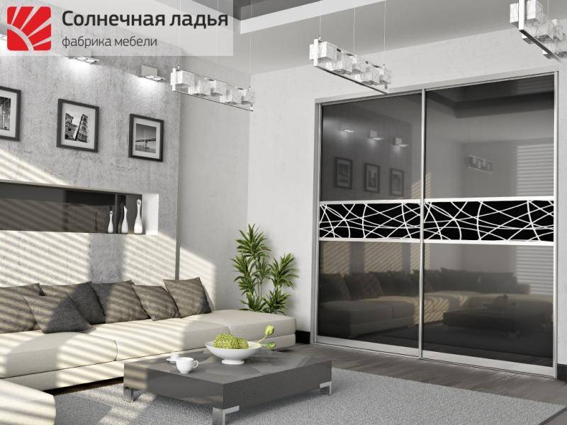 шкаф - купе для гостиной 10 в Кургане