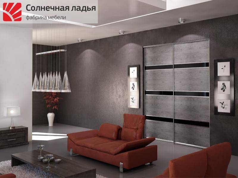 шкаф - купе для гостиной 18 в Кургане