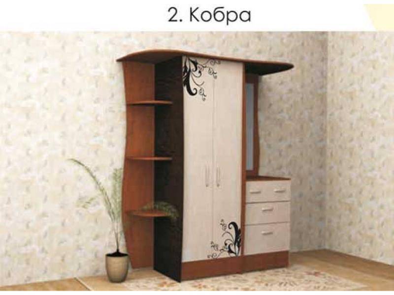 прихожая кобра в Кургане