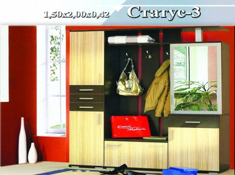 прихожая «статус 3» в Кургане