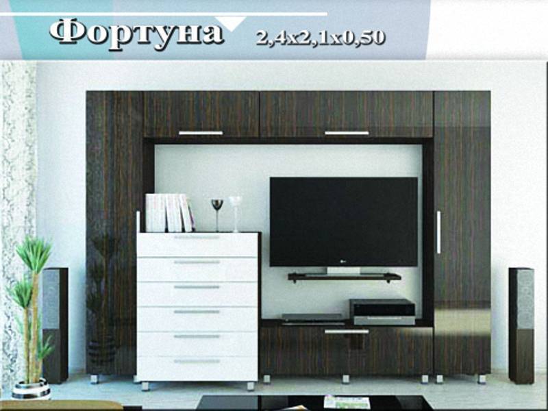 гостиная-стенка «фортуна» в Кургане