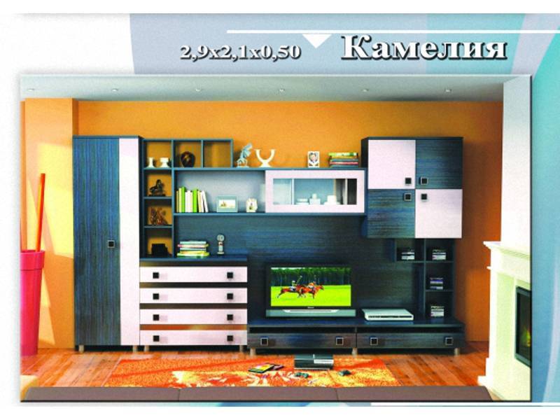 гостиная «камелия» в Кургане