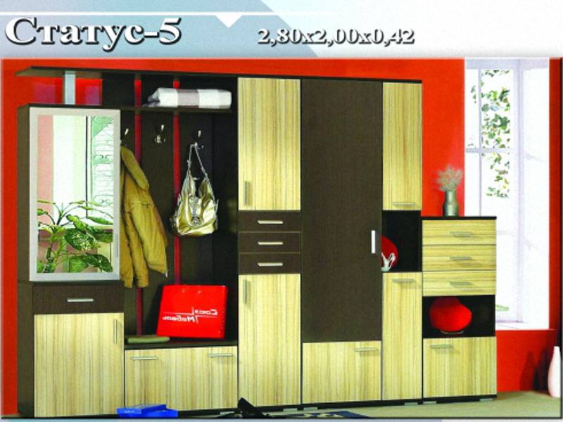 прихожая «статус 5» в Кургане