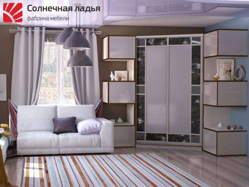 шкаф - купе для гостиной 16 в Кургане