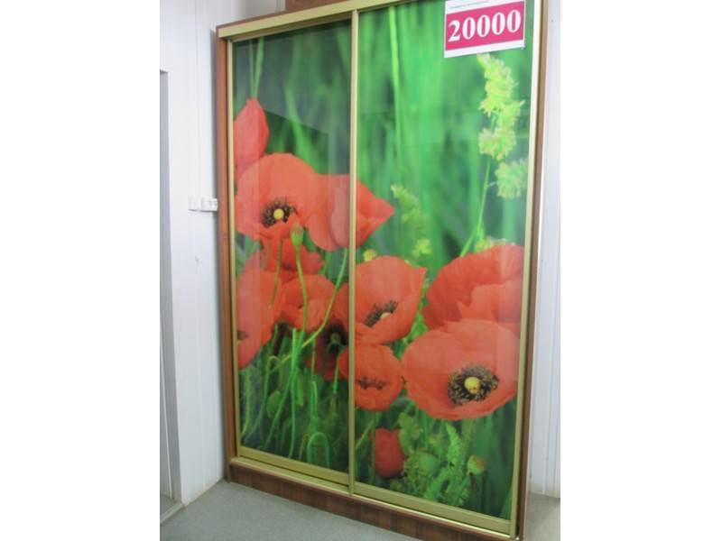 шкаф-купе 00002 в Кургане