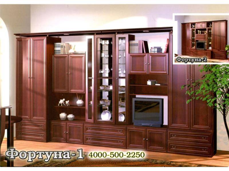 гостиная стенка фортуна-1 в Кургане