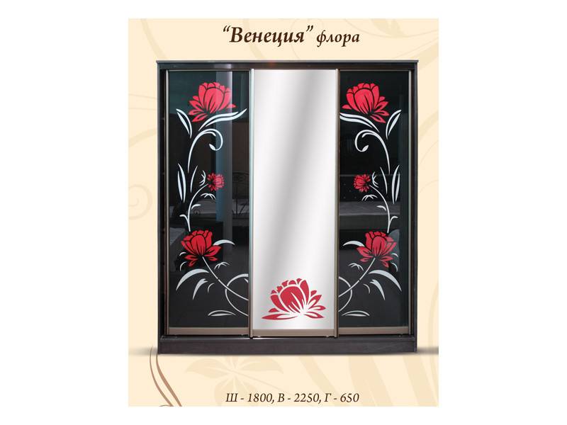 шкаф венеция флора в Кургане