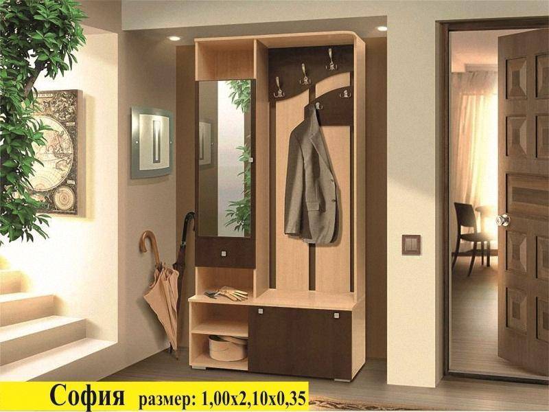прихожая софия в Кургане