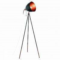 торшер eglo chester 49386 в Кургане