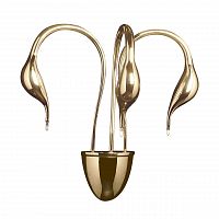 бра lightstar cigno collo 751632 в Кургане
