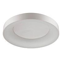 потолочный светодиодный светильник odeon light sole 4062/80cl в Кургане