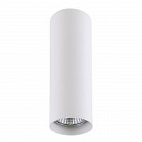 потолочный светильник lightstar rullo 214496 в Кургане
