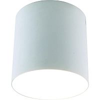 потолочный светильник divinare tubo 1463/03 pl-1 в Кургане