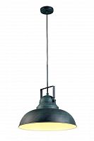 подвесной светильник arte lamp martin a5213sp-1bg в Кургане