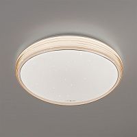 потолочный светодиодный светильник eurosvet universal 40008/1 led кофе в Кургане