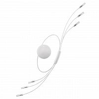 бра lightstar ovale 784666 в Кургане
