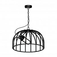 подвесной светильник loft it cell loft1893b в Кургане