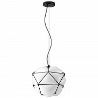 подвесной светильник lightstar erbareo 799020 в Кургане