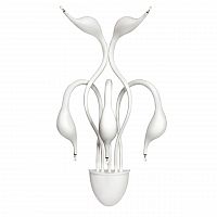 бра lightstar cigno collo wt 751656 в Кургане
