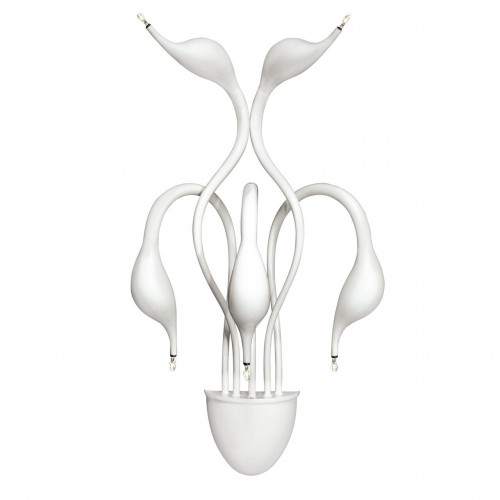 бра lightstar cigno collo wt 751656 в Кургане