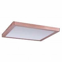 потолочный светодиодный светильник paulmann atria 70873 в Кургане
