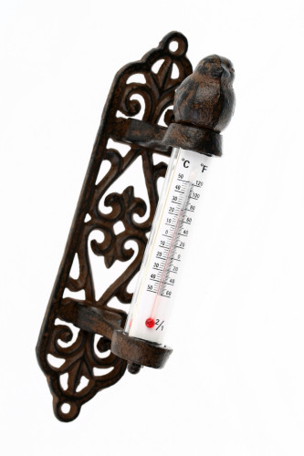 термометр снегирь в Кургане