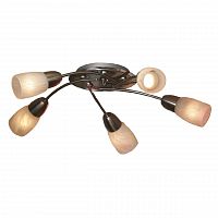 потолочная люстра lussole cevedale grlsq-6907-05 в Кургане