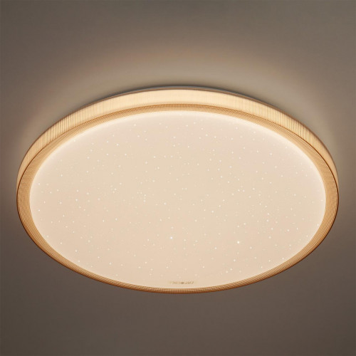 потолочный светодиодный светильник eurosvet sandy 40015/1 led кофе в Кургане