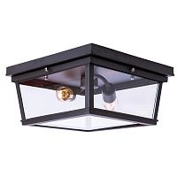 потолочный светильник loft it loft3110-2c в Кургане