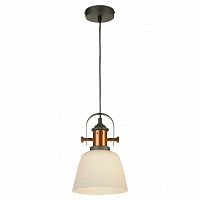 подвесной светильник lussole loft lsp-9846 в Кургане